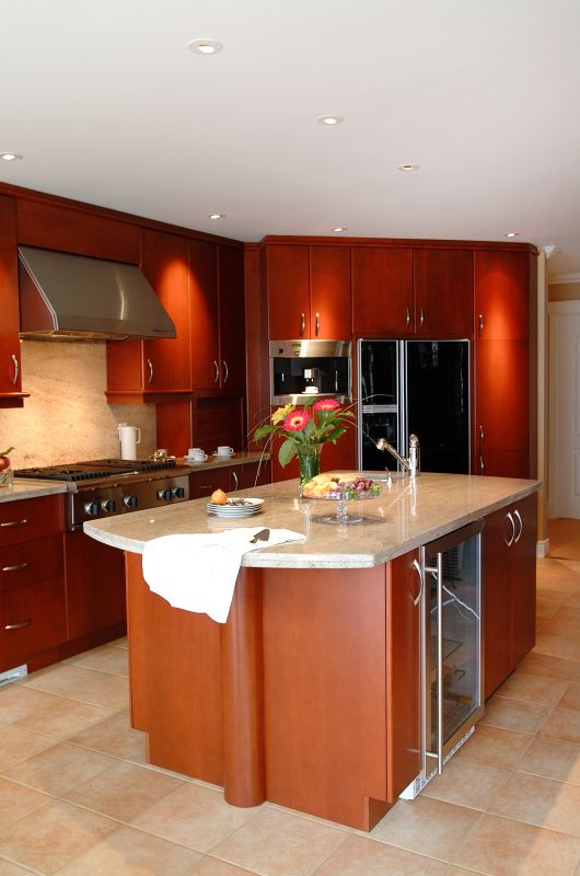 Professional Kitchen Renovators